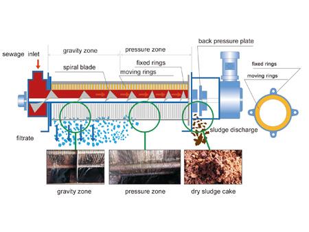 Dewatering screw press